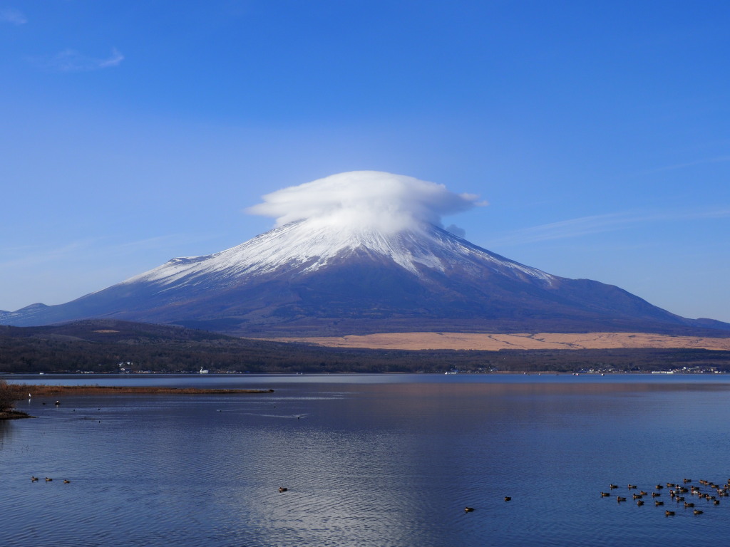 12/16 �O�i�P�_�ƕx�m�R