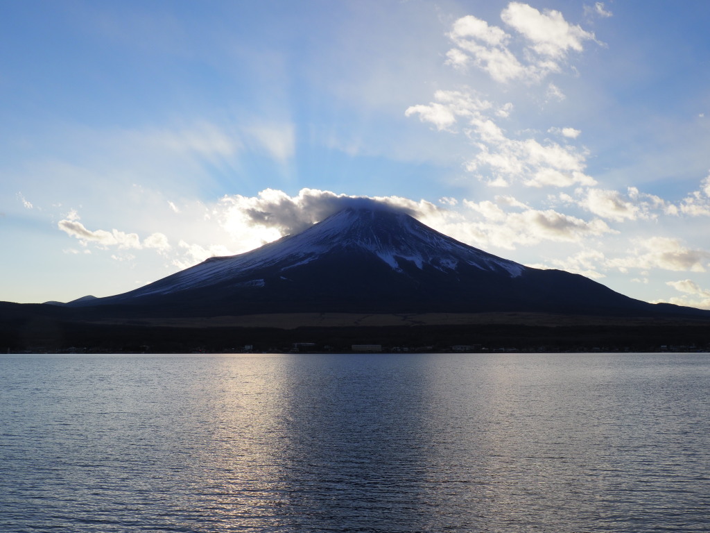 1/6 ���̓���̌��