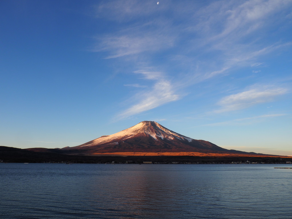 1/7 ���Ă��̕x�m�R