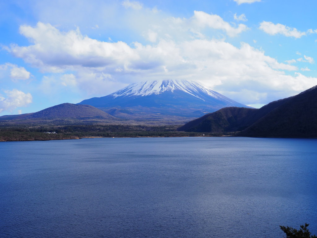 1/10 �{���΂���̕x�m�R