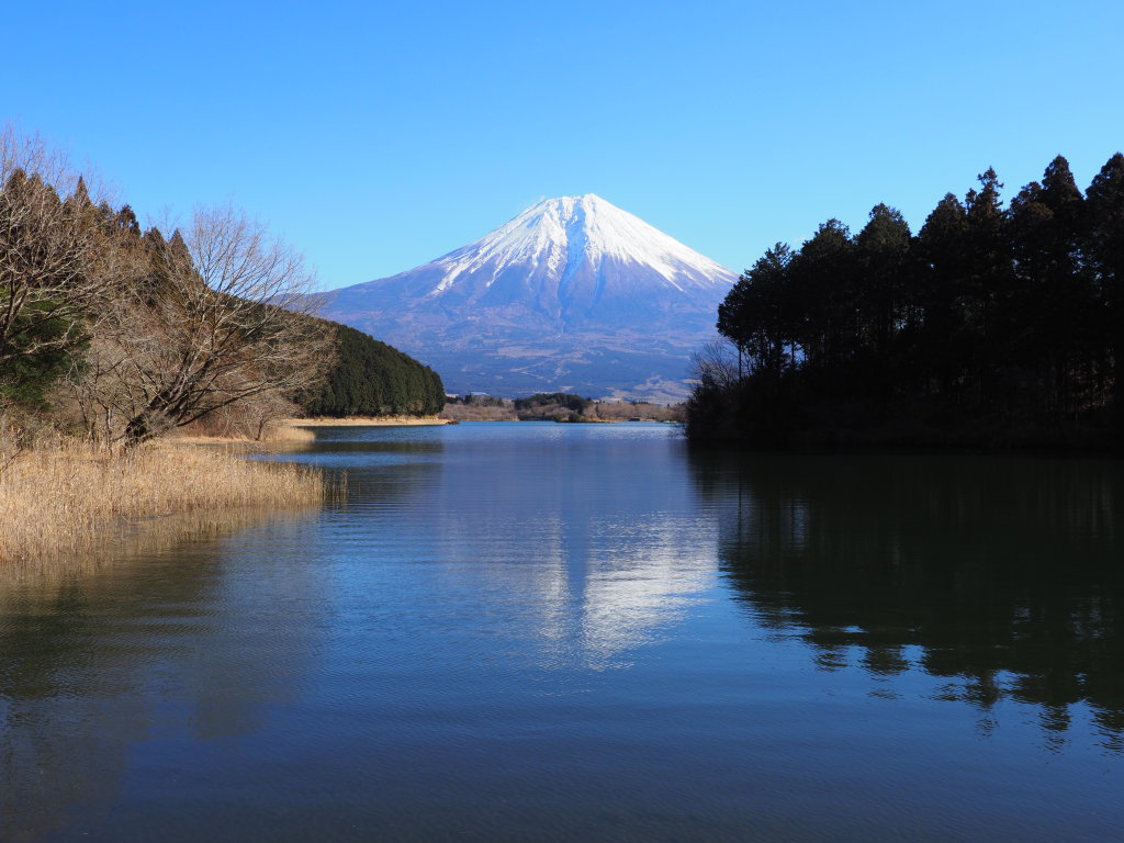 1/11 �x�ɑ�����̋t���x�m