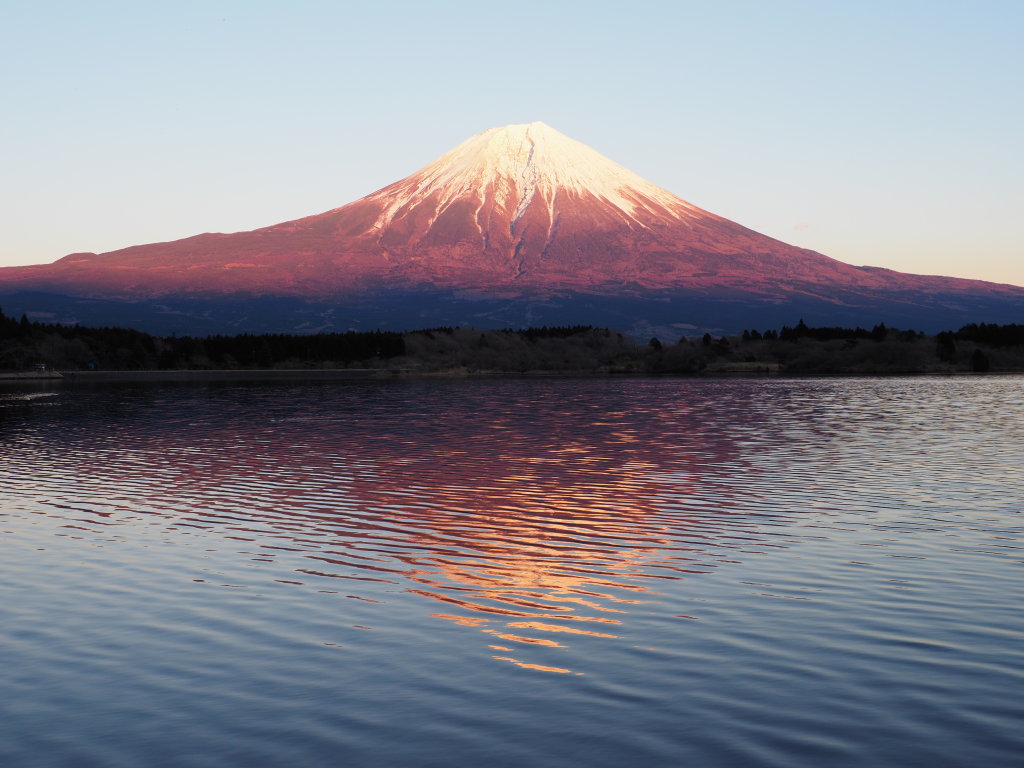 1/11 �[�Ă��̕x�m�R