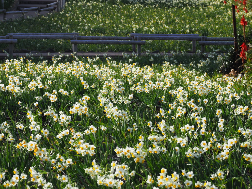 1/18 �ܖ؍�̐���