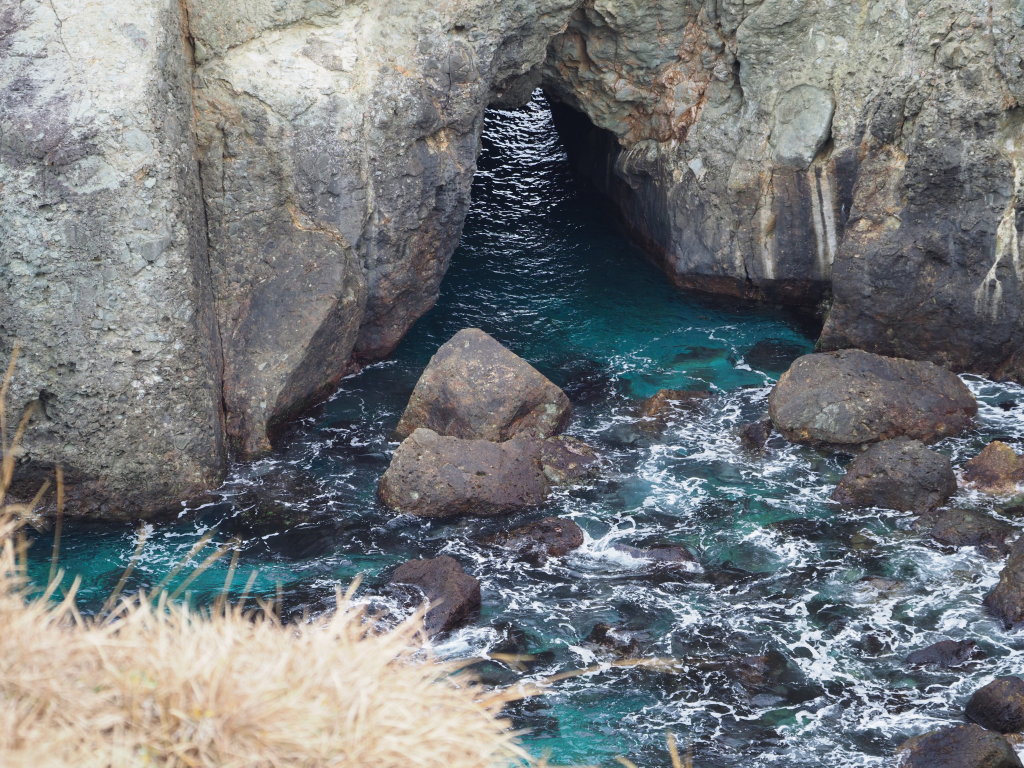 1/20 ������̓��A