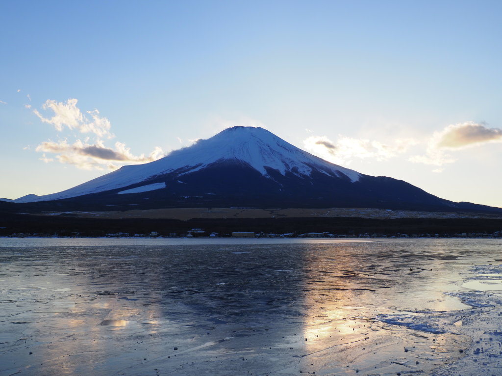 2/5 �[�Ă��̕x�m�R