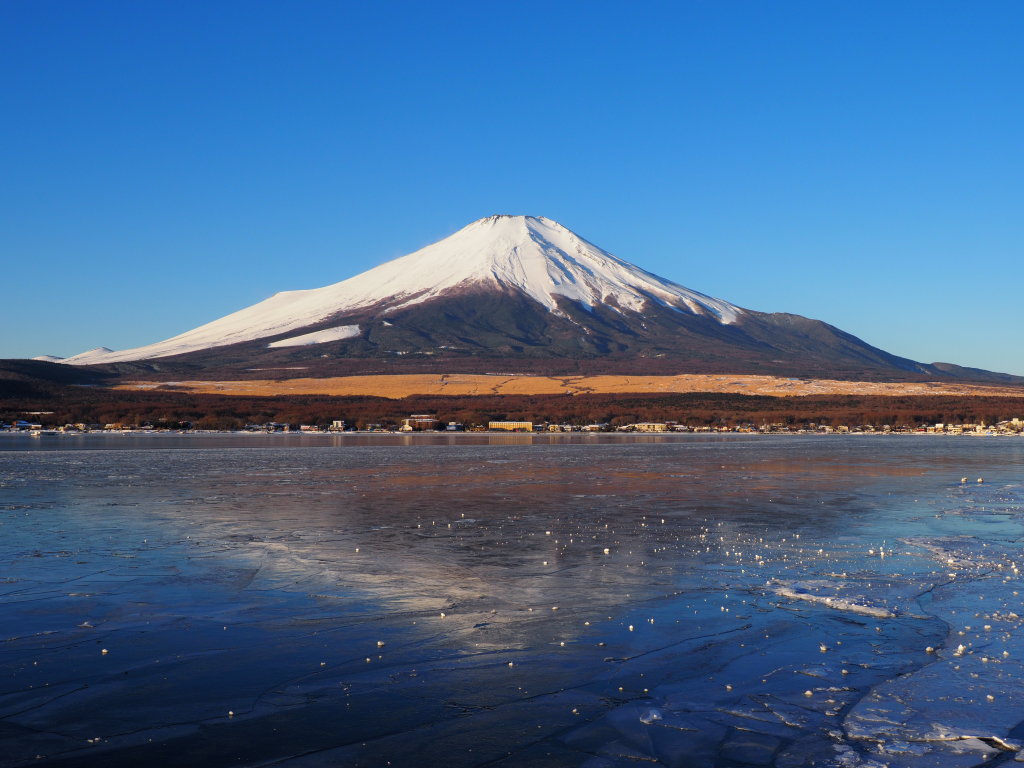 2/6 �X�̋t���x�m