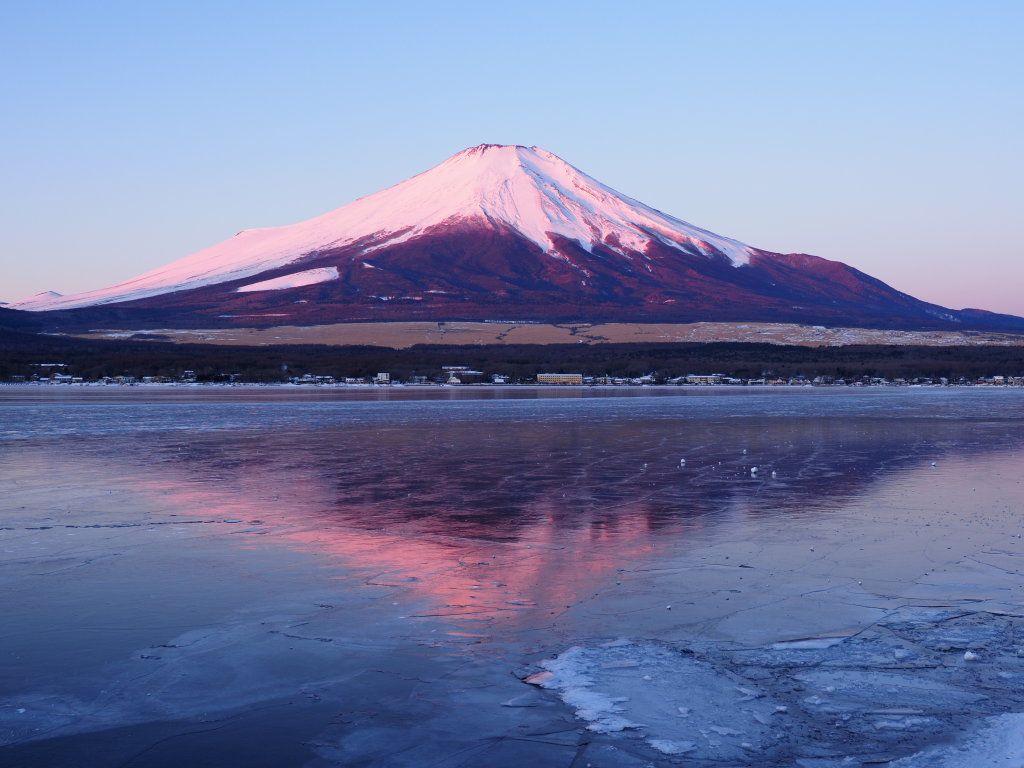 2/7 ���Ă��̓������t���x�m