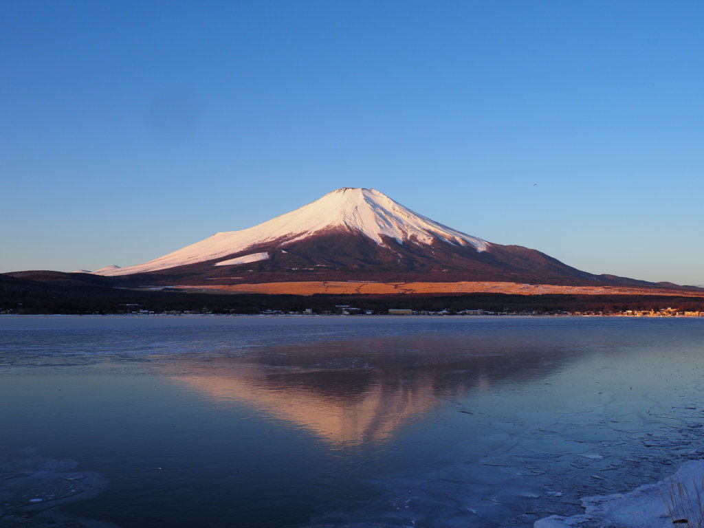 2/8 �S�ʌ��X�����R����