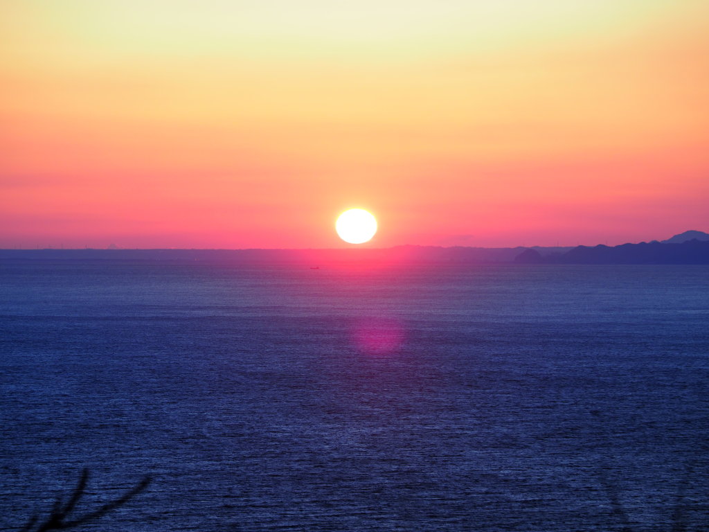 2/8 �x�͘p�̓��̓���