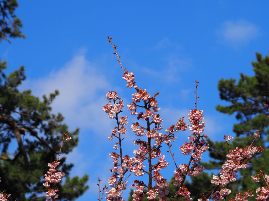 2/9 �y��� ���J