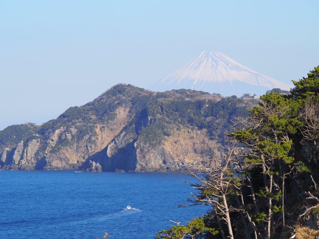 2/9 �����肩��̕x�m�R