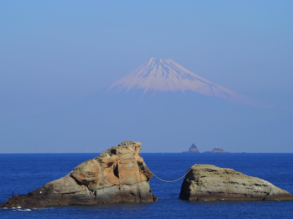 2/9 �v�w��ɕ����ԕx�m�R