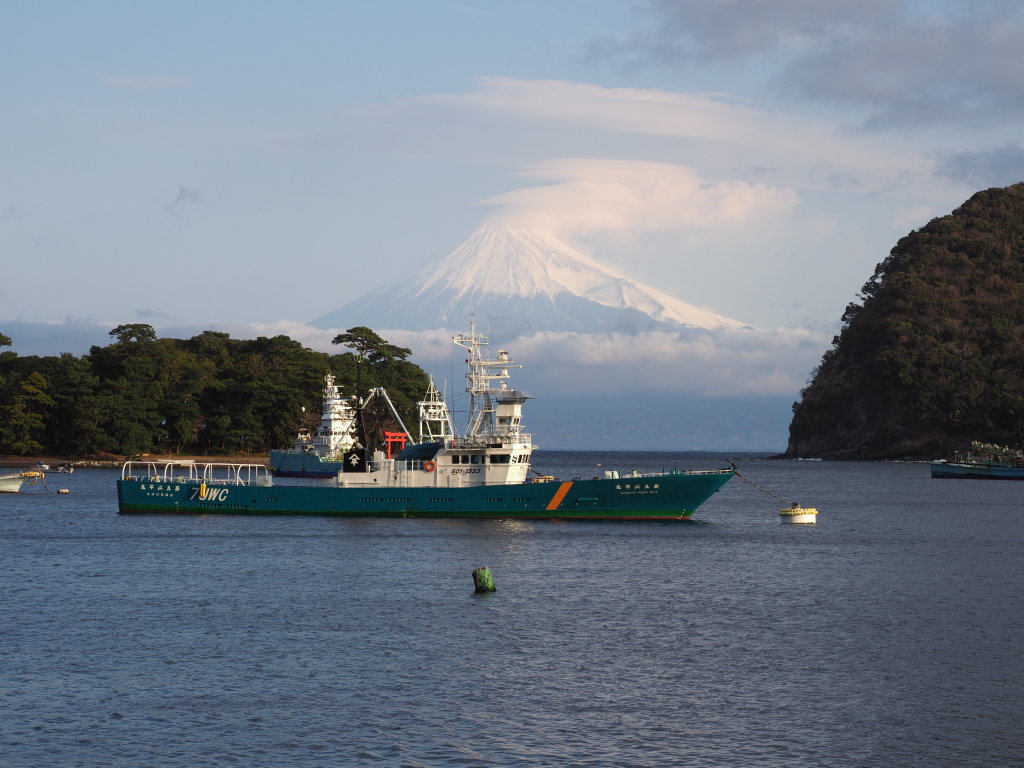 2/11 ���Ă��̕x�m�R