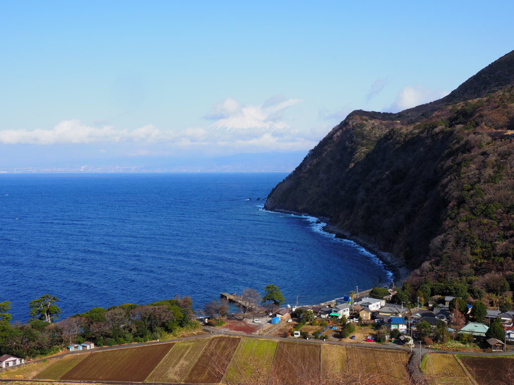 2/11 ��c����̕x�m�R