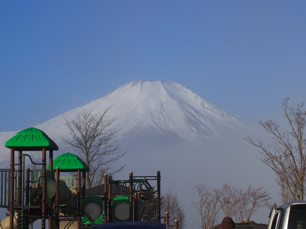 2/17 �����������x�m�R