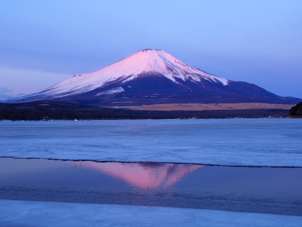 2/17 �o�P�c�L�����h��