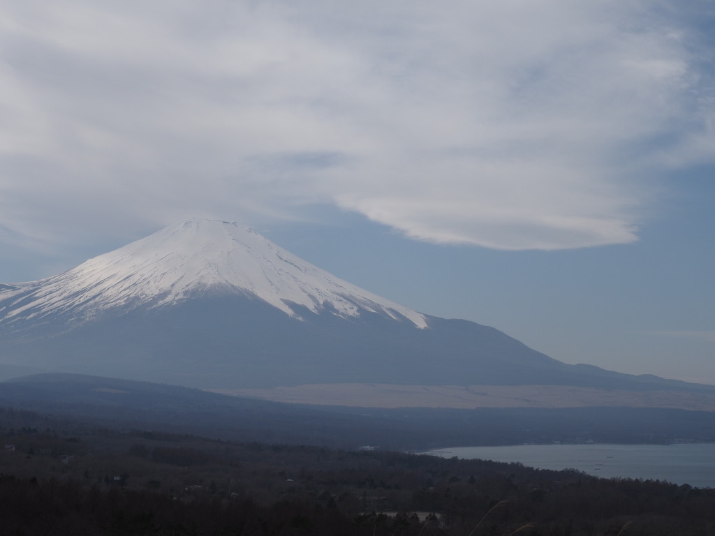 3/15 �݂邵�_�ƕx�m�R