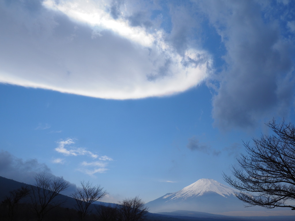 3/15 �_�ƕx�m�R