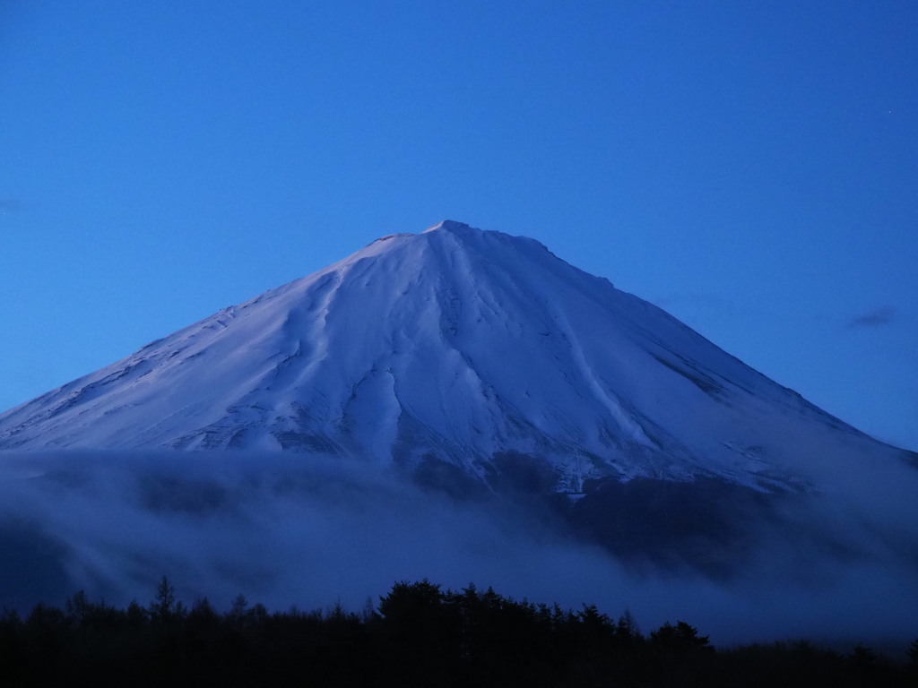 3/17 �򂩂�̕x�m�R