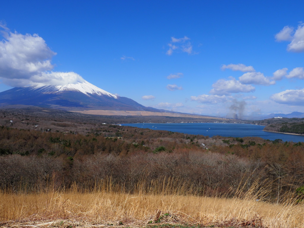 4/8 ��������Ă��J�n