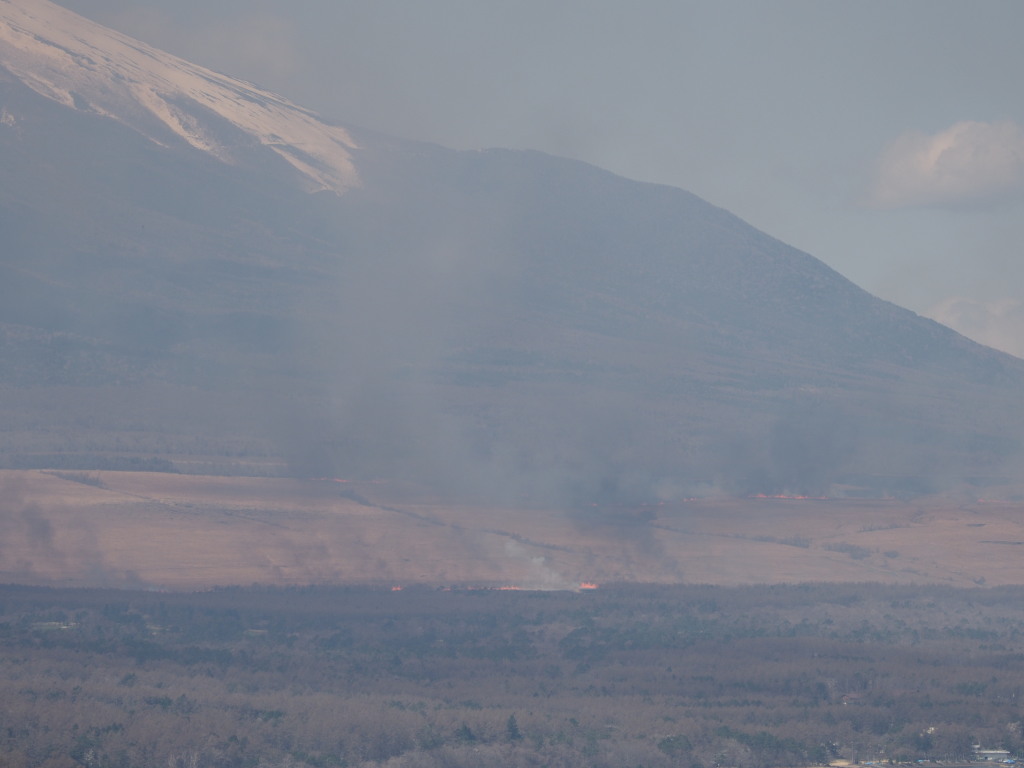 4/8 ��������Ă�(2)