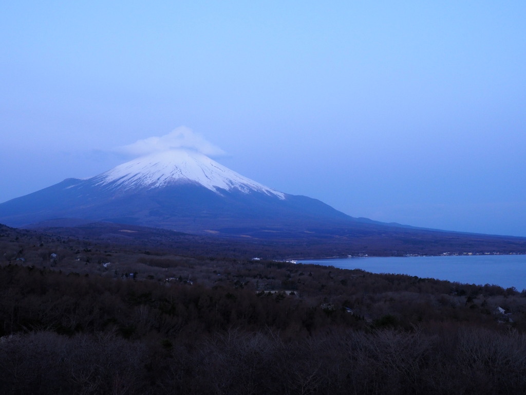 4/9 �P�_�̕x�m�R