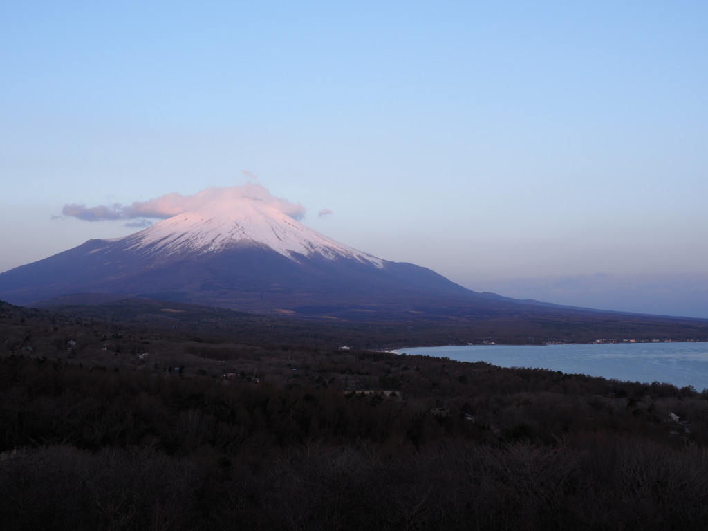 4/9 ���Ă��̕x�m�R