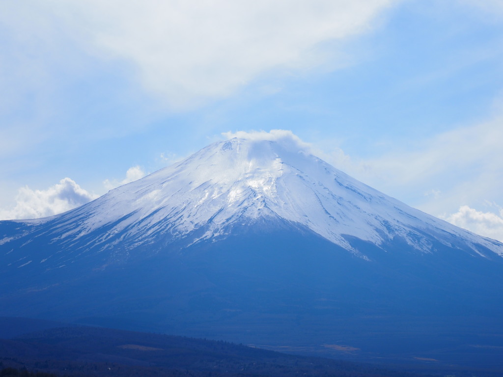 4/9 �����n�߂��x�m�R