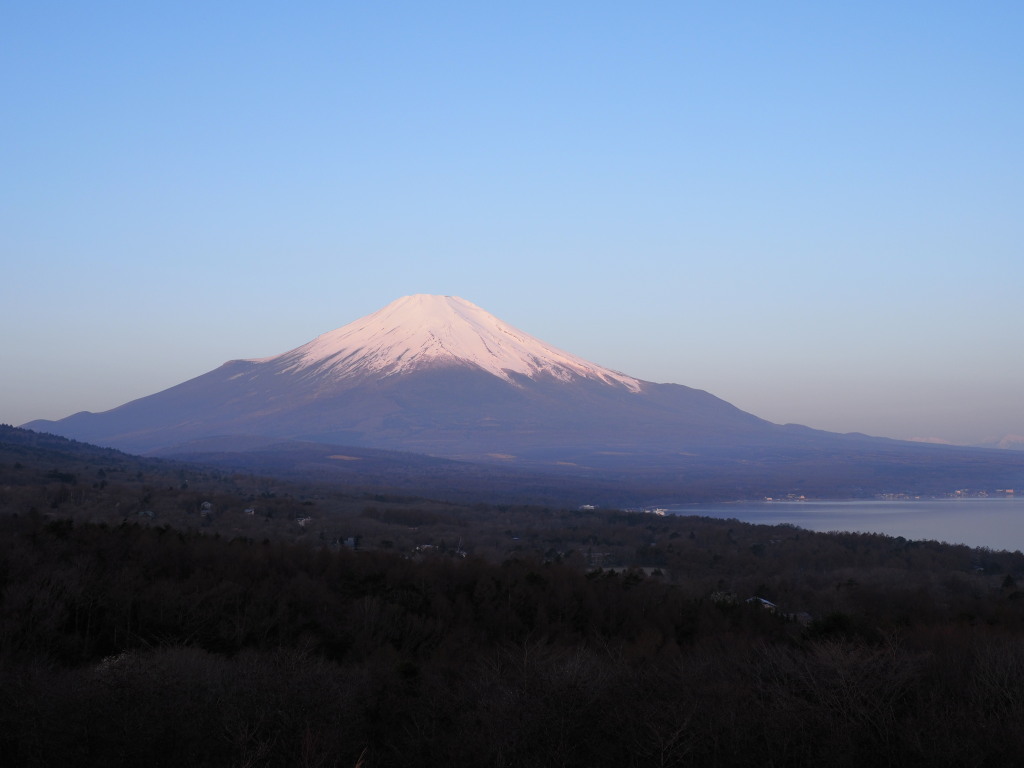 4/10 ���Ă��̕x�m�R