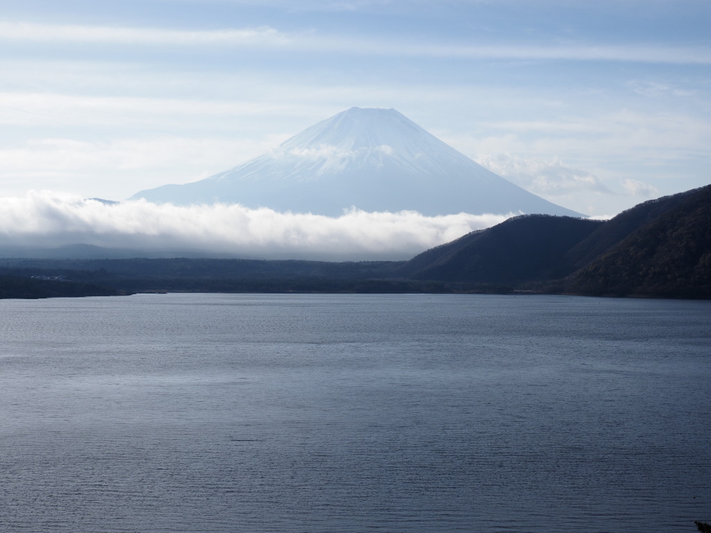 4/12 ����ƌ������x�m�R