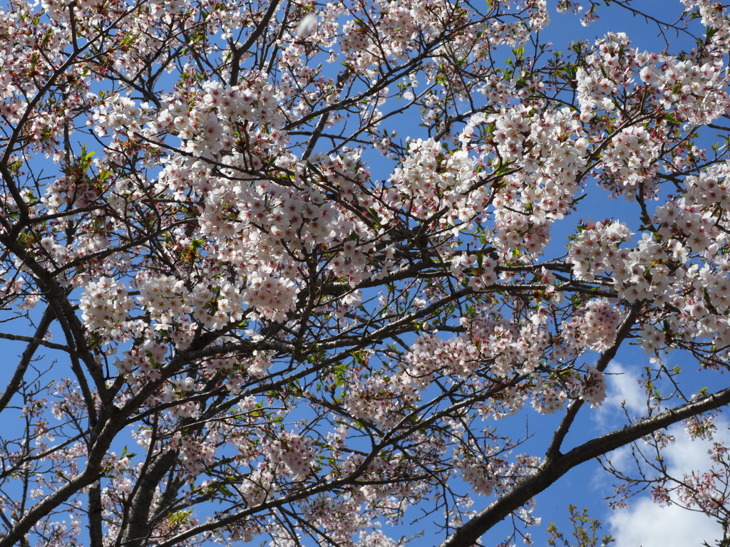 4/12 �����J