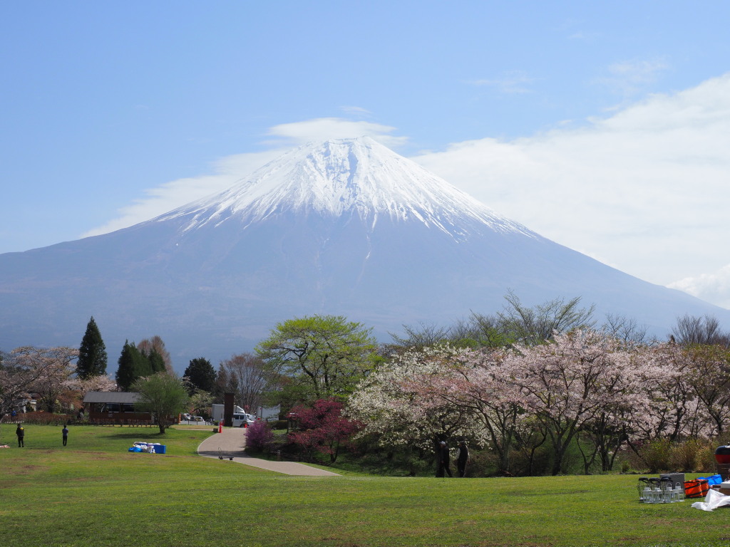 4/12 ���ƕx�m�R