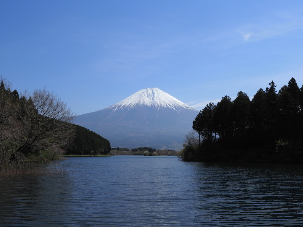 4/12 �x�ɑ�����̕x�m�R