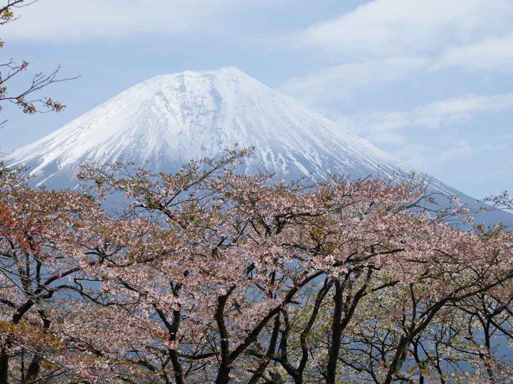 �k�T�C�g����̍��ƕx�m�R