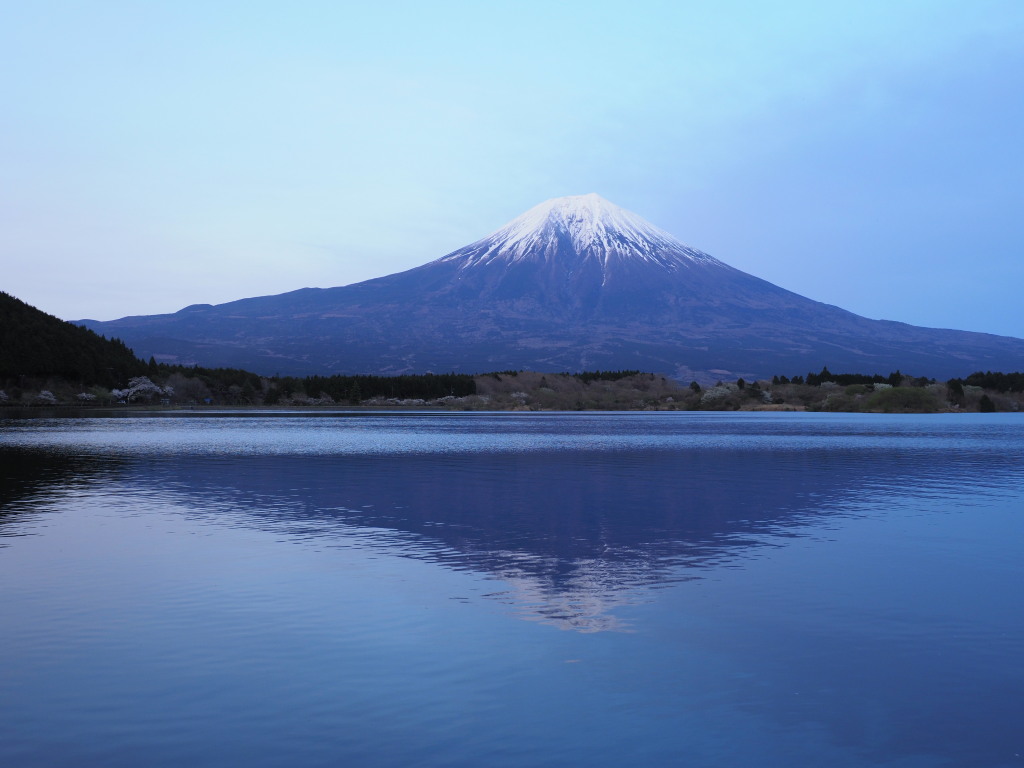 4/12 �t���x�m