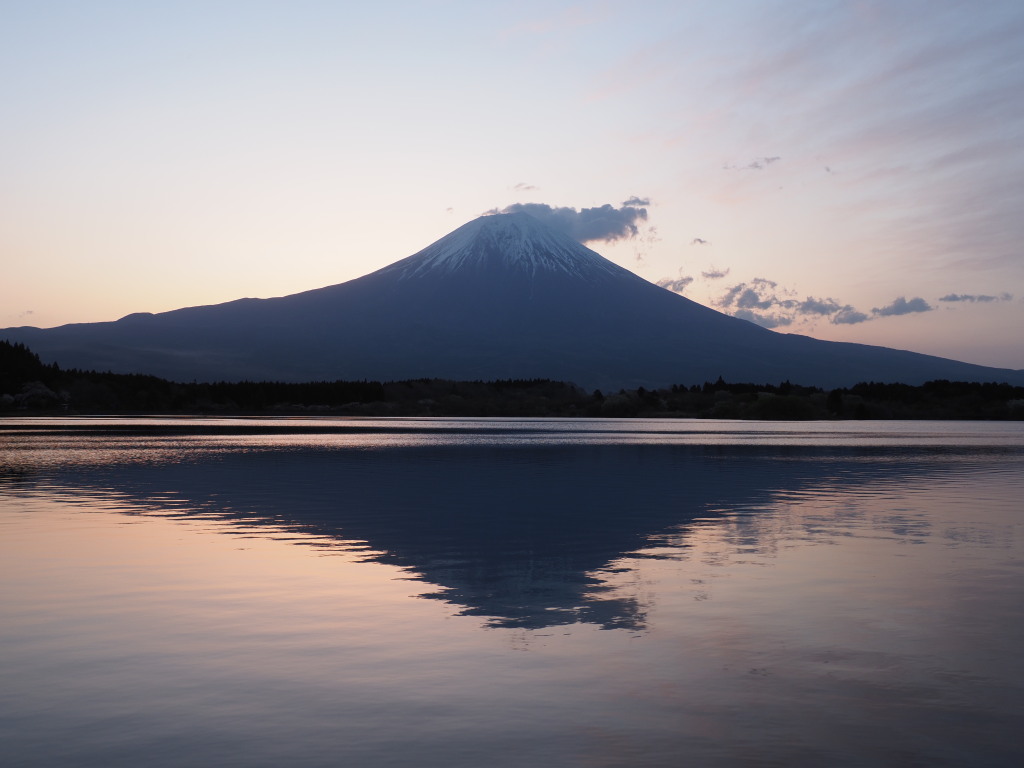 4/13 ���Ă��̕x�m�R