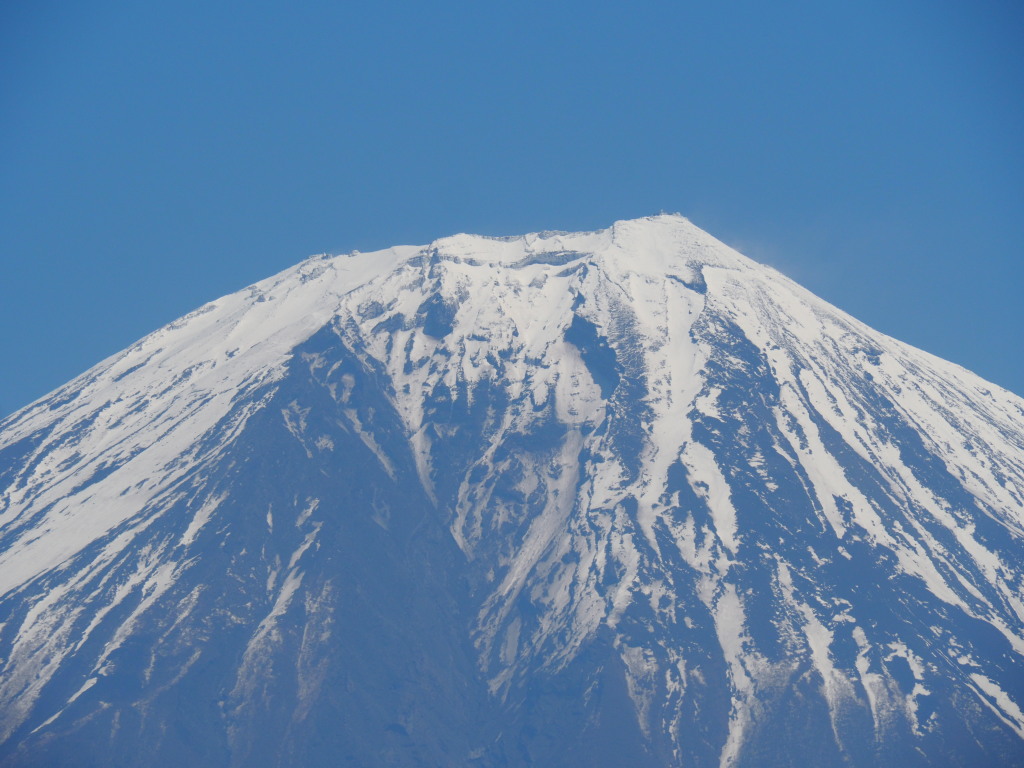 4/20 �x�m�R�̃A�b�v