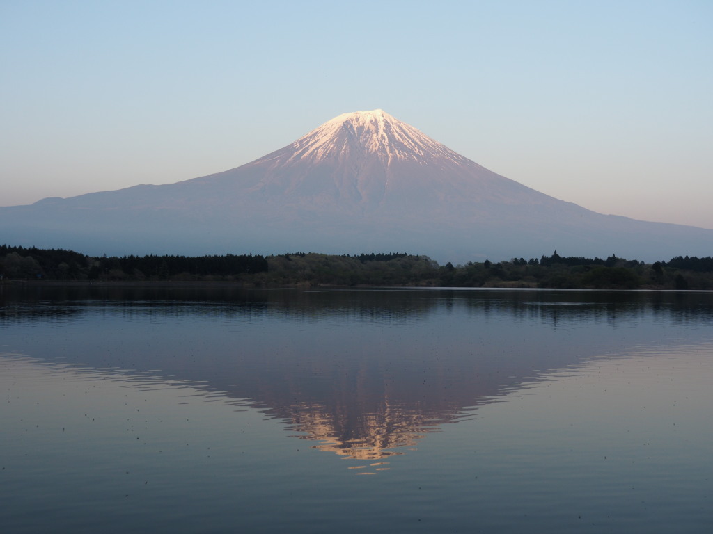 4/21 �[�Ă��̋t���x�m