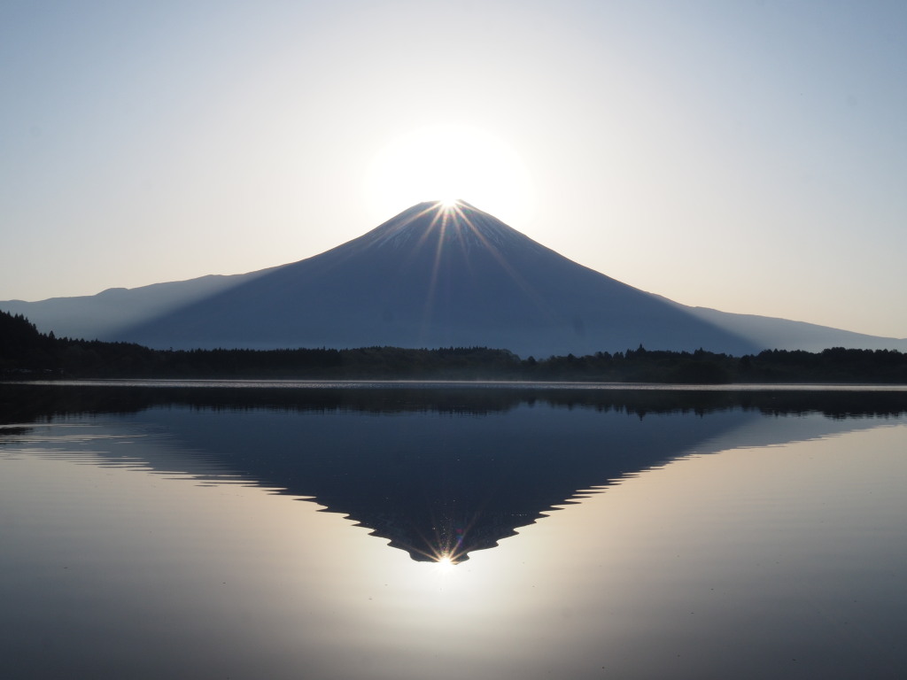 4/22 �_�C�������h�x�m