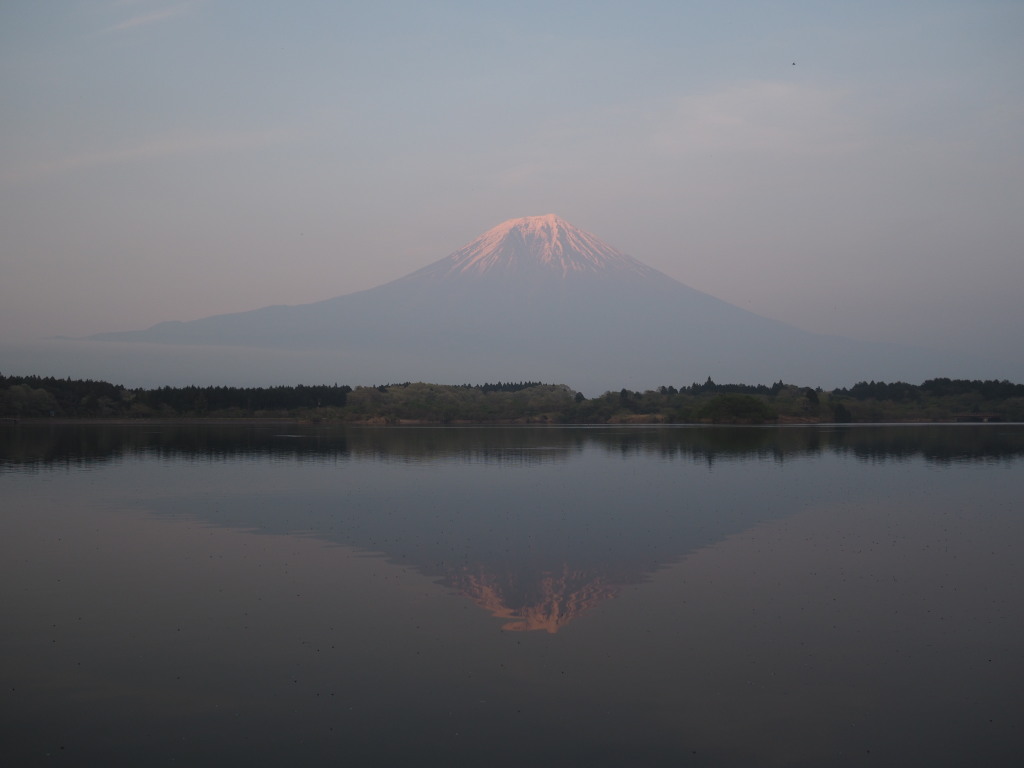 4/22 �[�Ă��̋t���x�m