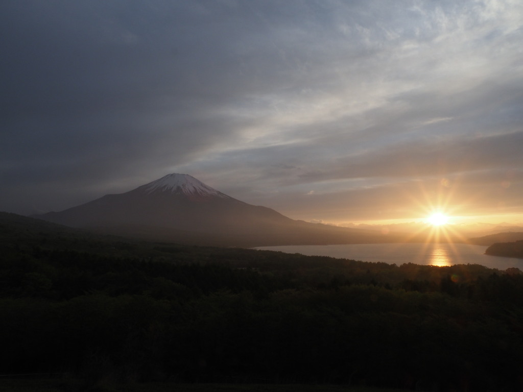 5/3 ���̓���̕x�m�R