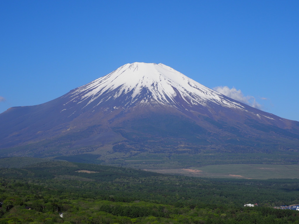 5/4 �Y��ȕx�m�R