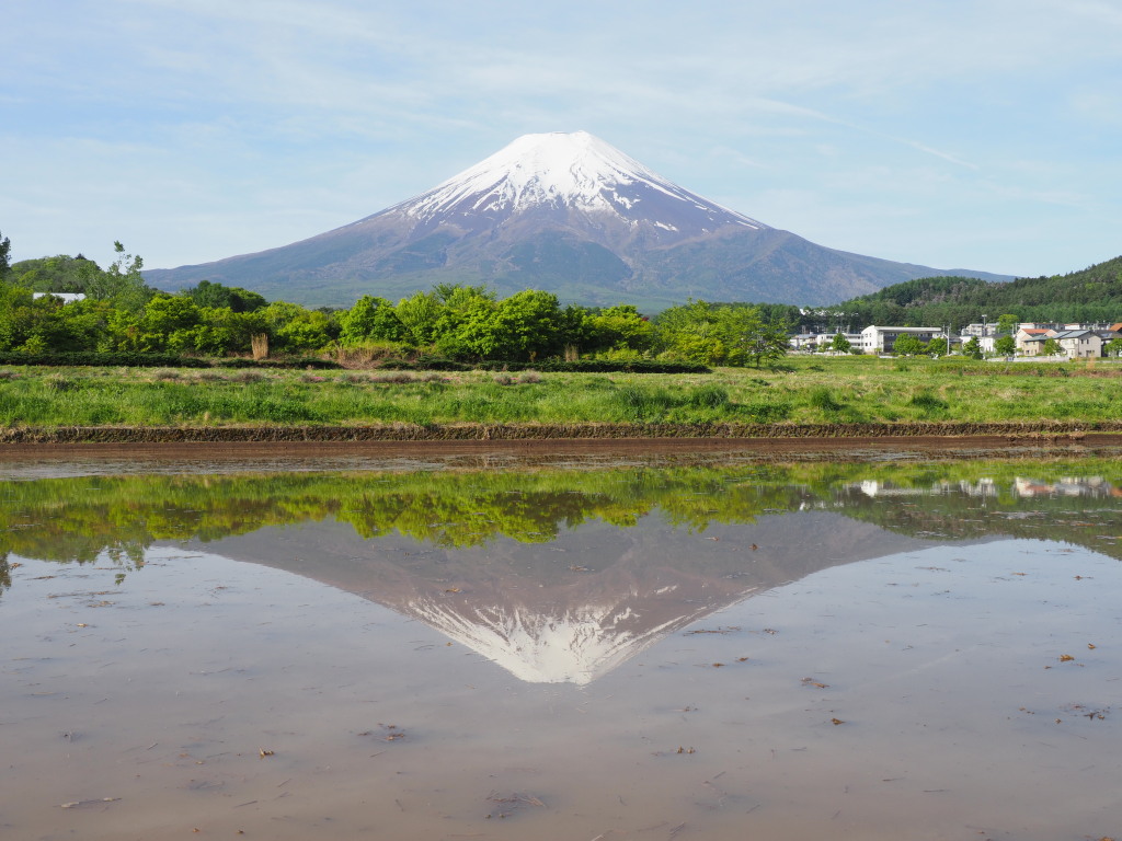 5/6 �_����������̋t���x�m