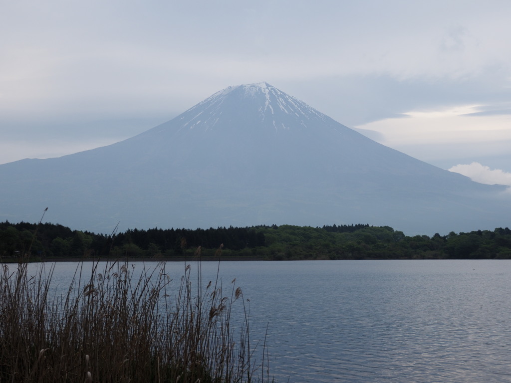 5/6 �_�̒��̕x�m�R