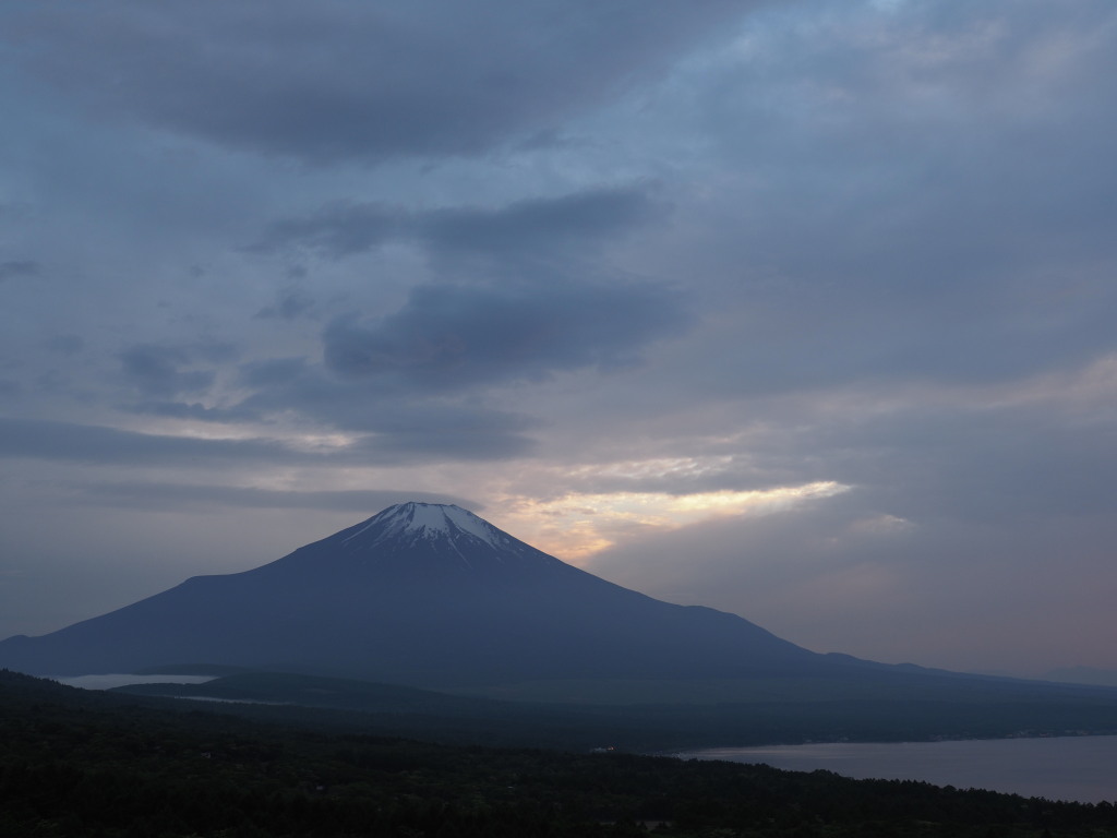 5/28 �[�Ă��̕x�m�R