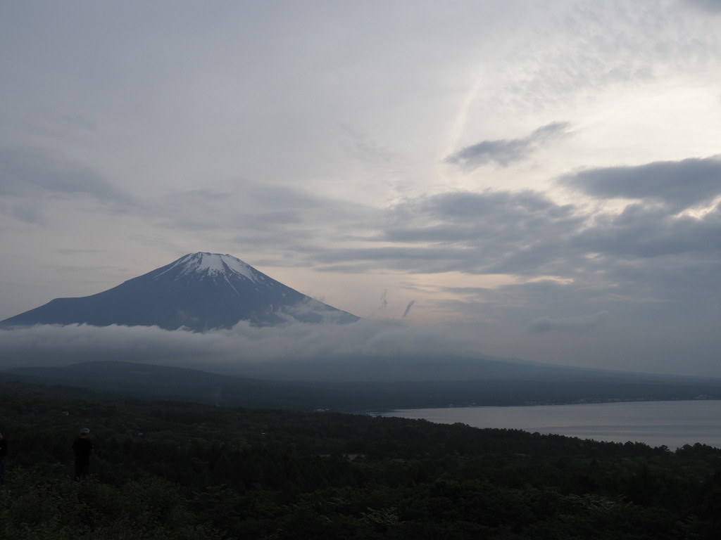 5/29 �[�Ă��̕x�m�R