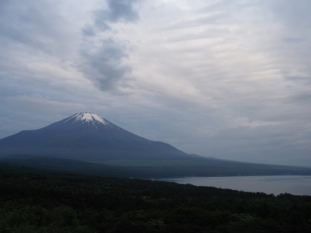 5/30 �܂�̕x�m�R