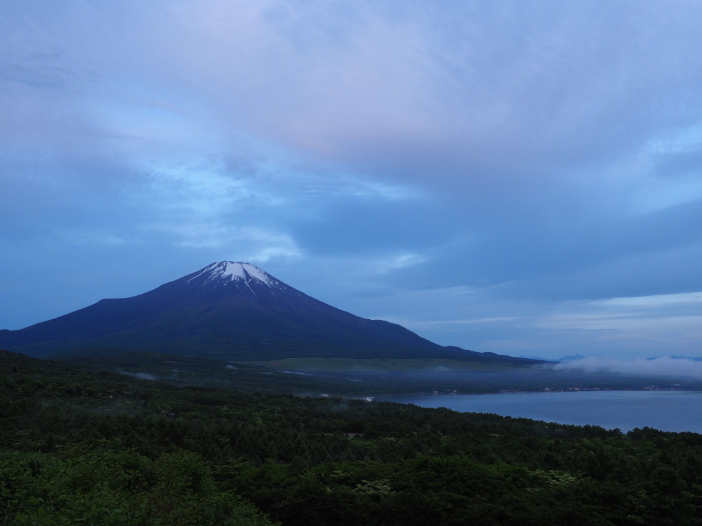 5/31 �J�オ��̕x�m�R