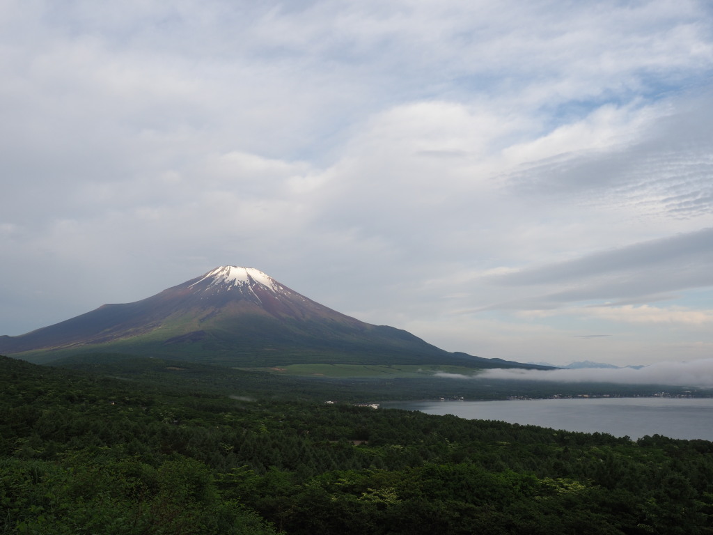 5/31 ����܂��