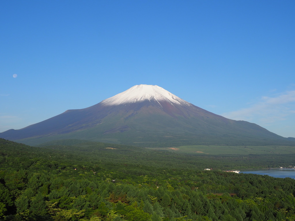 6/1 �V�΂̕x�m�R